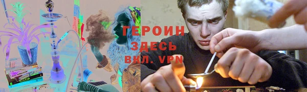 стаф Вязьма