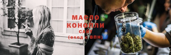 стаф Вязьма