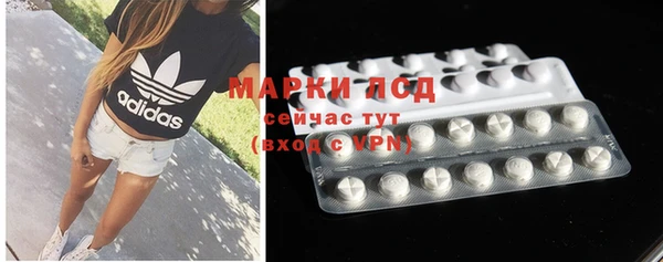 стаф Вязьма