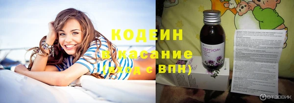 прущие грибы Горняк