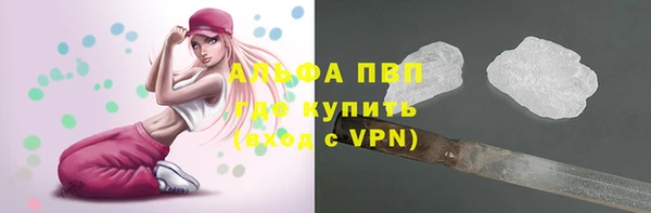 стаф Вязьма