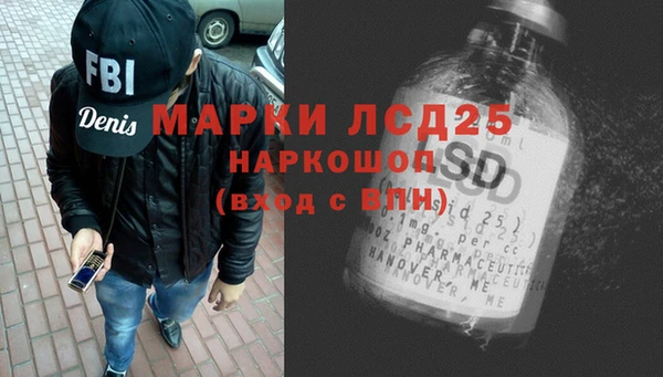 стаф Вязьма