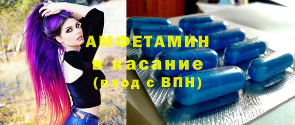 стаф Вязьма