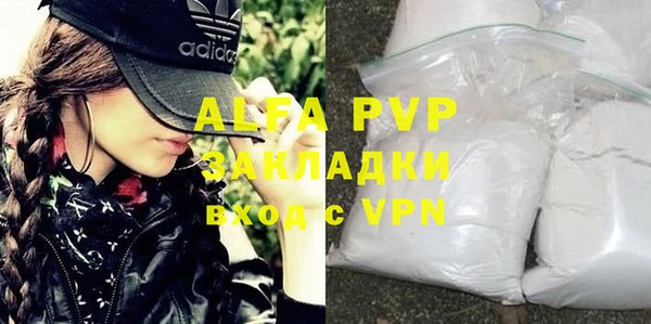 стаф Вязьма