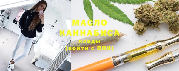 стаф Вязьма