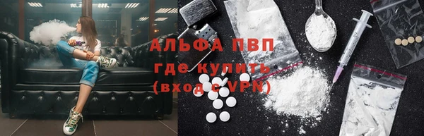 стаф Вязьма