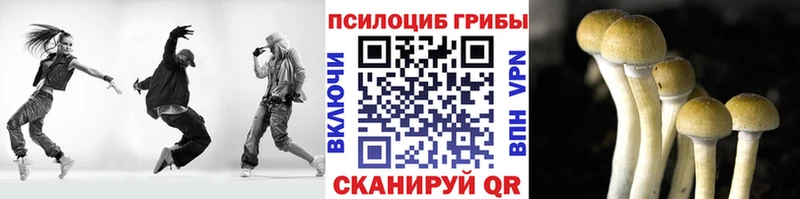 Галлюциногенные грибы GOLDEN TEACHER  Елизаветинская 
